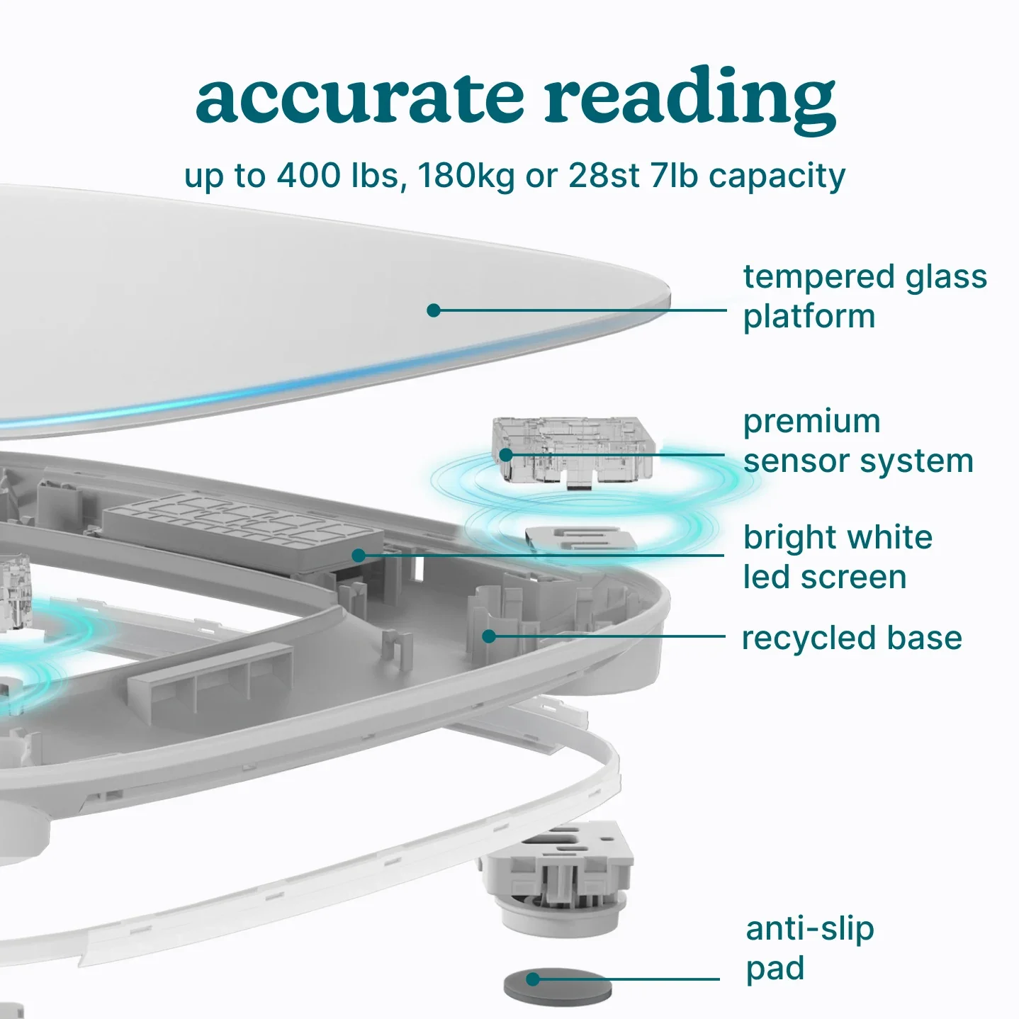 Essential Glo Scale - Image 13