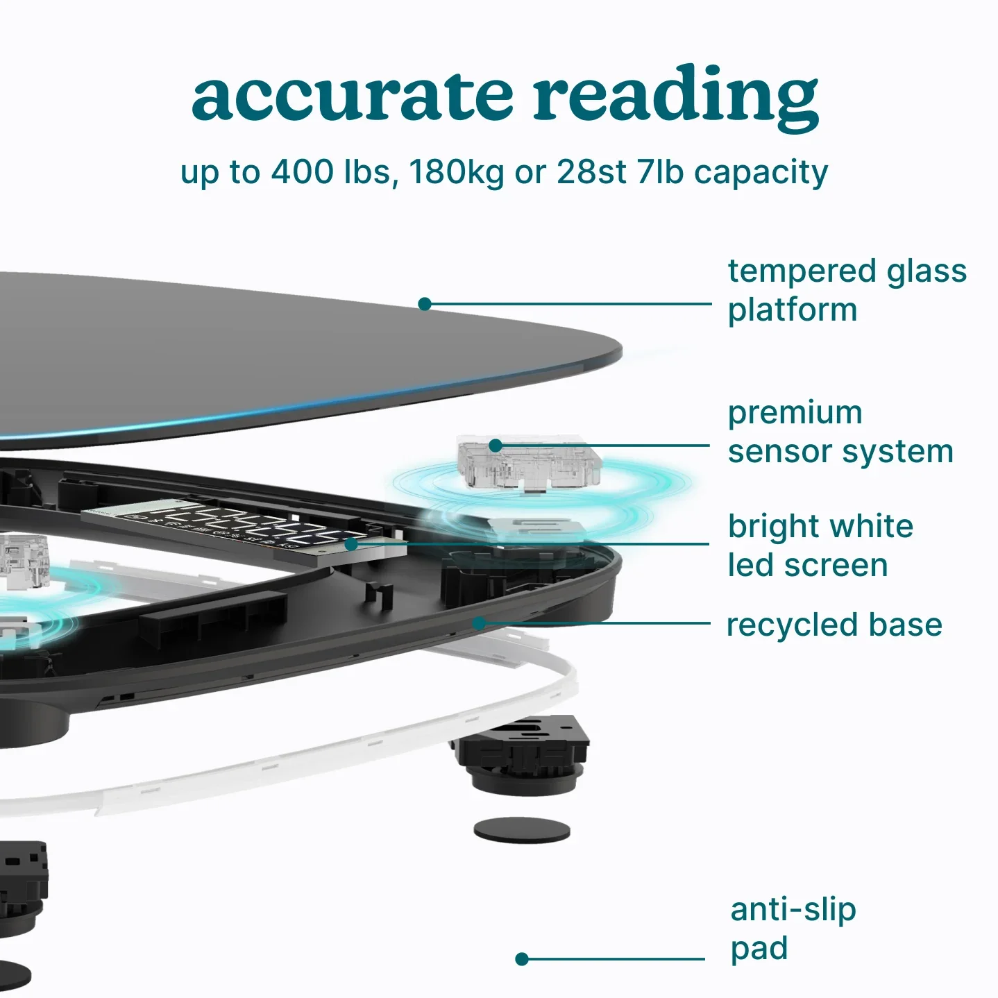 Essential Glo Scale - Image 4