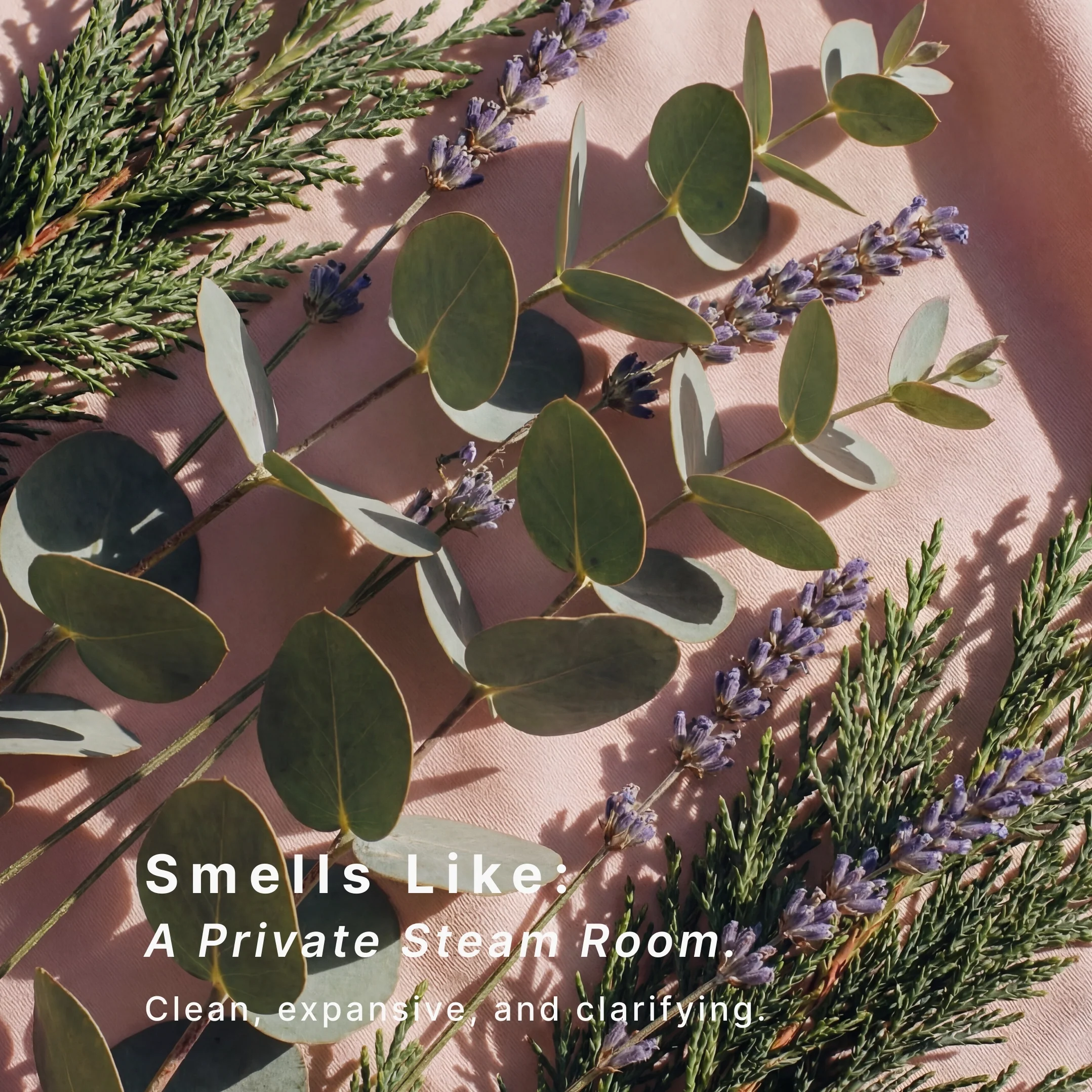 SereneScent™ Lavender & Eucalyptus - Image 4