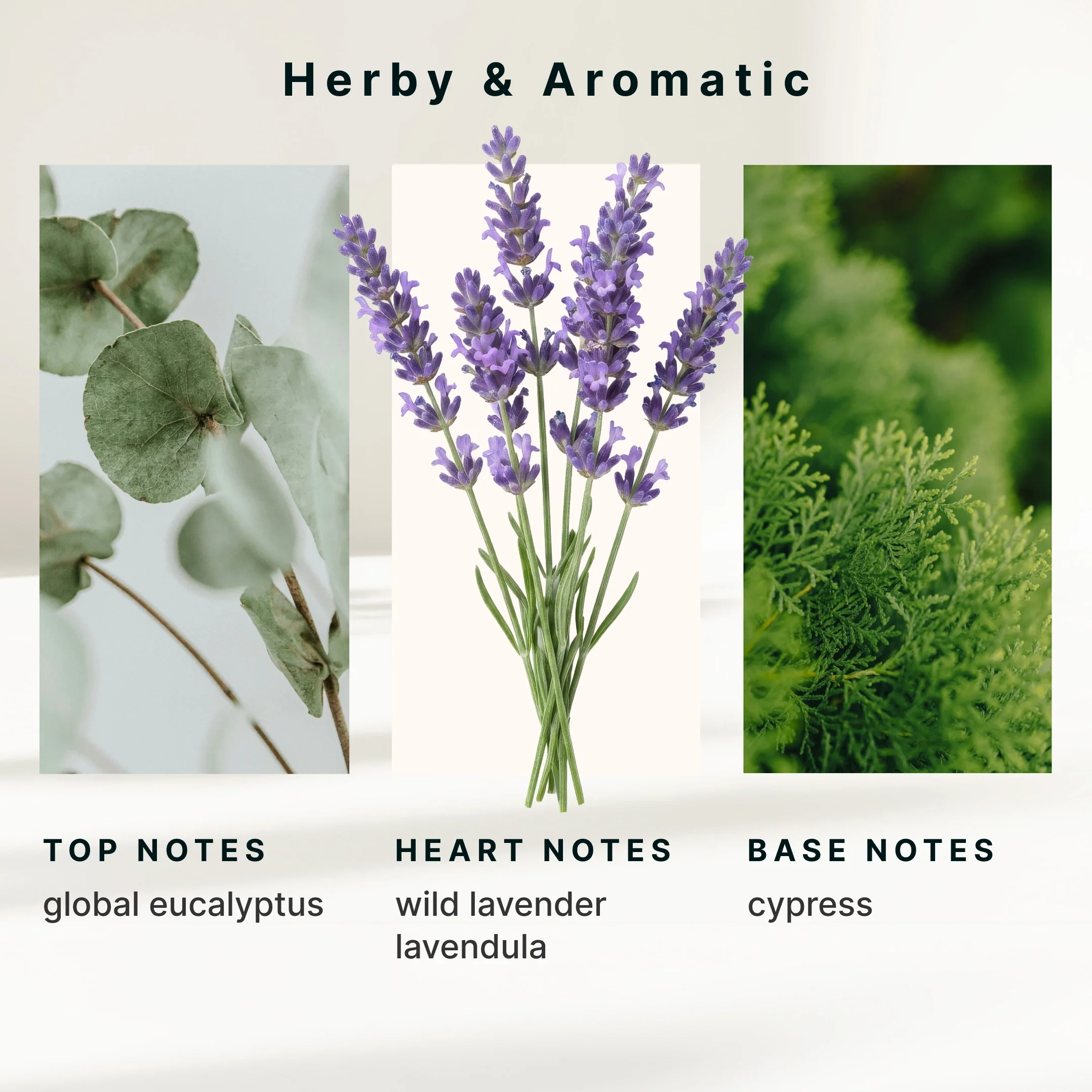 SereneScent™ Lavender & Eucalyptus - Image 6
