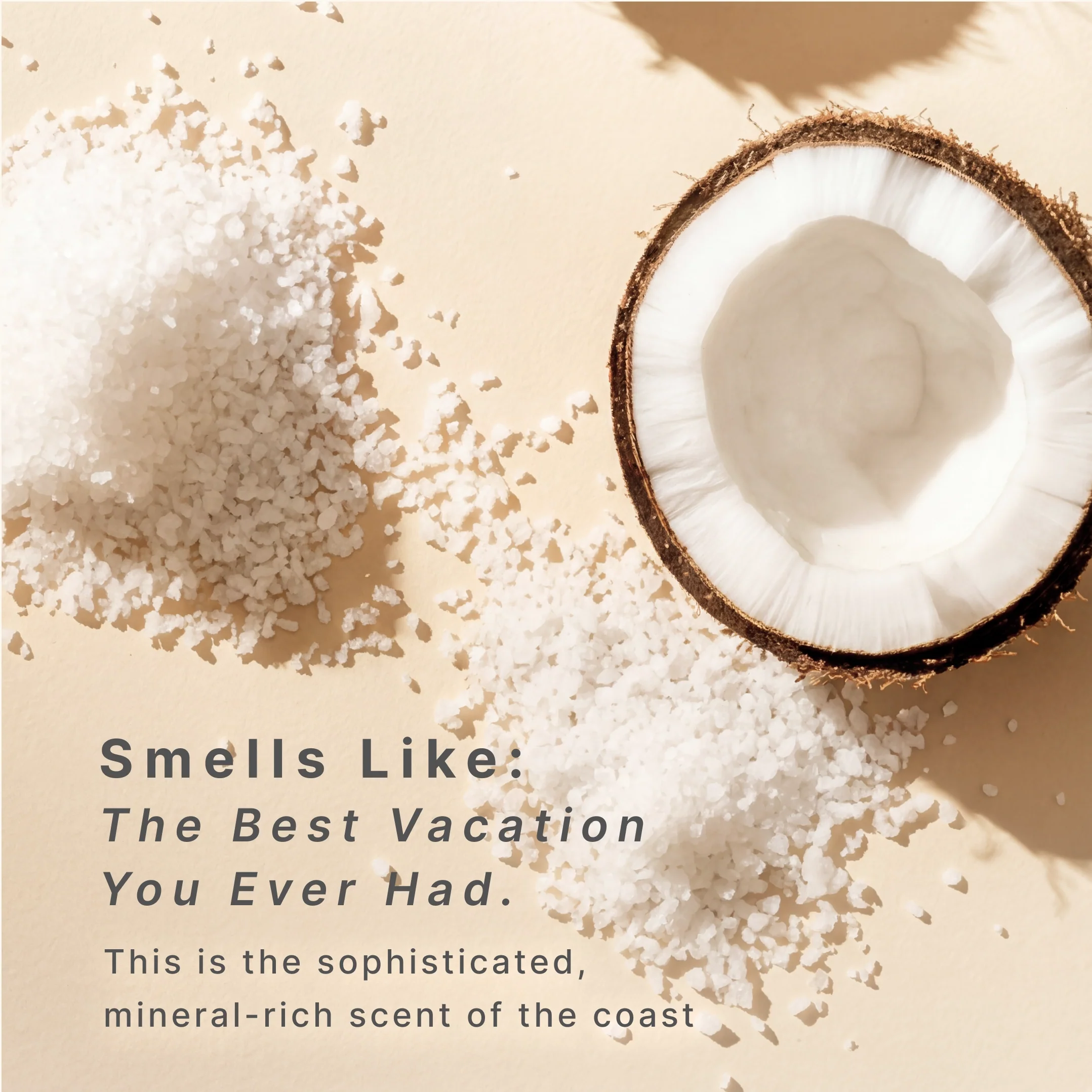 SereneScent™ Sea Salt & Coconut - Image 4